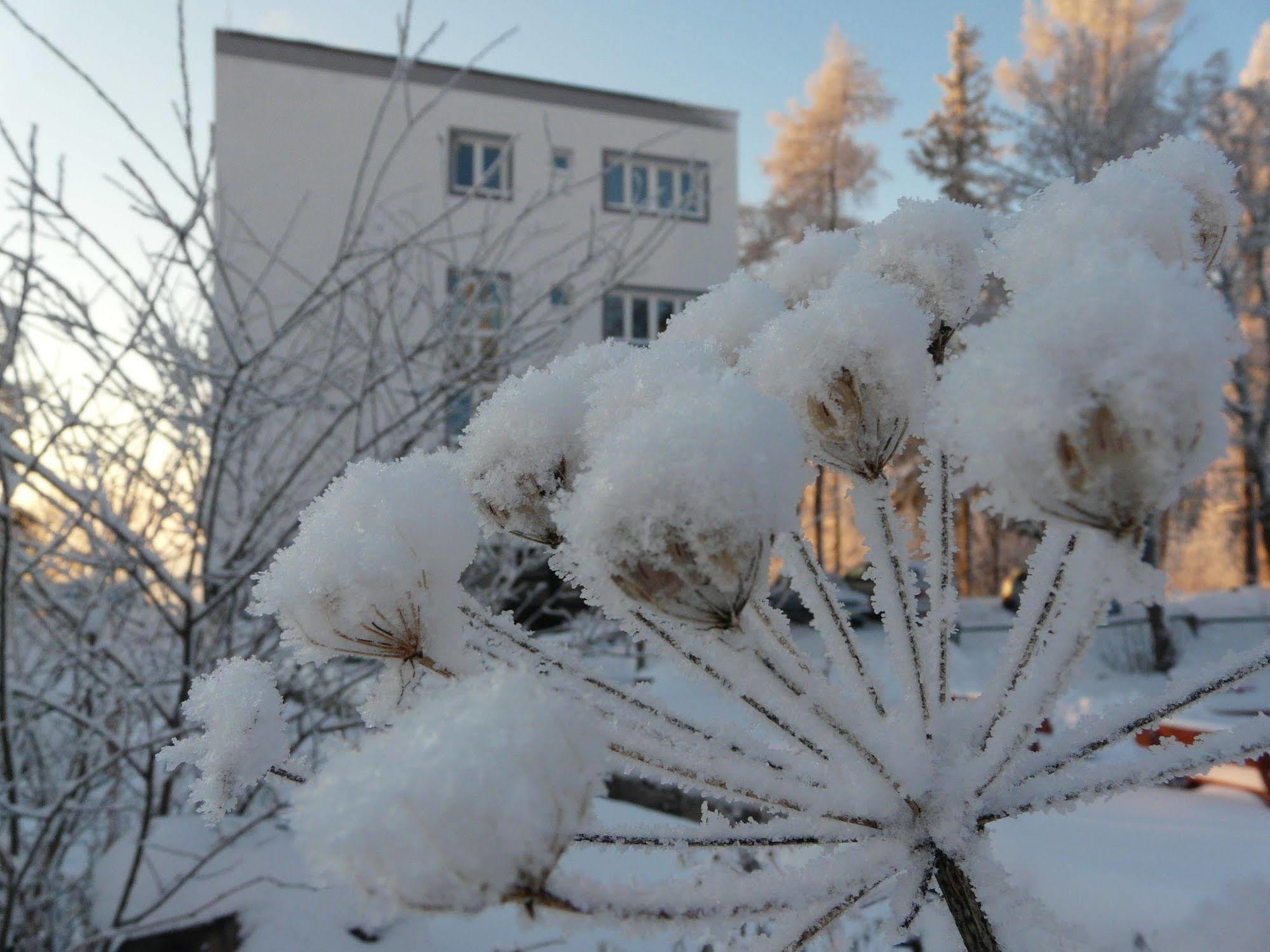 Vila Emma Štrbské Pleso Zewnętrze zdjęcie